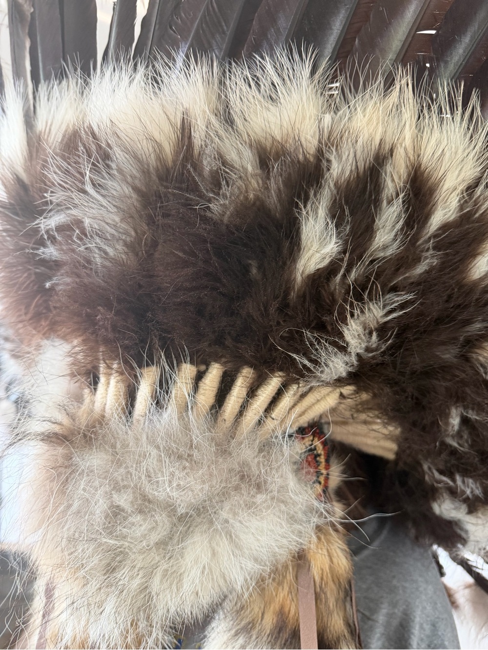 Navajo Coyote Eagle Feather Halo Headress - Picture 12 of 16